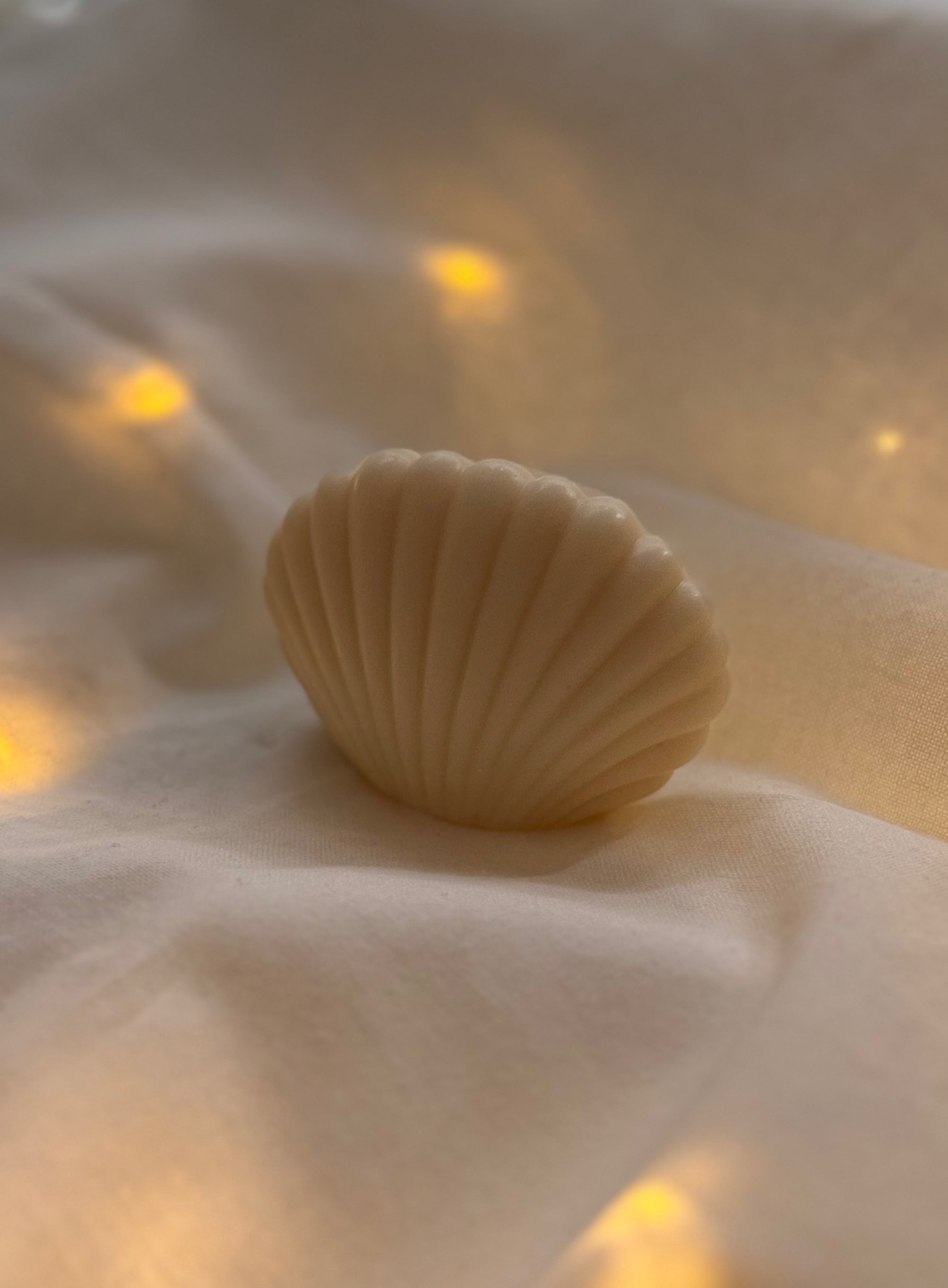 Seashell Wax Melt - Seychelles