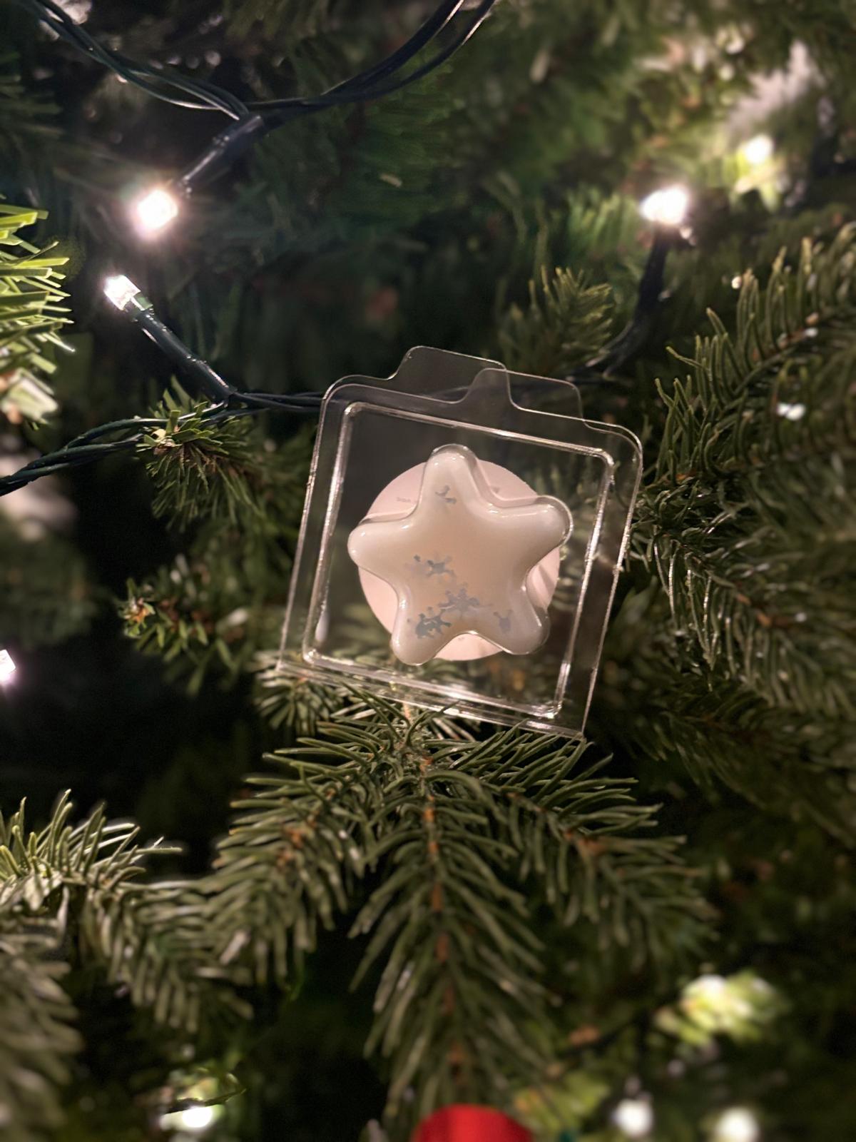 Winter Spice Star Wax Melt