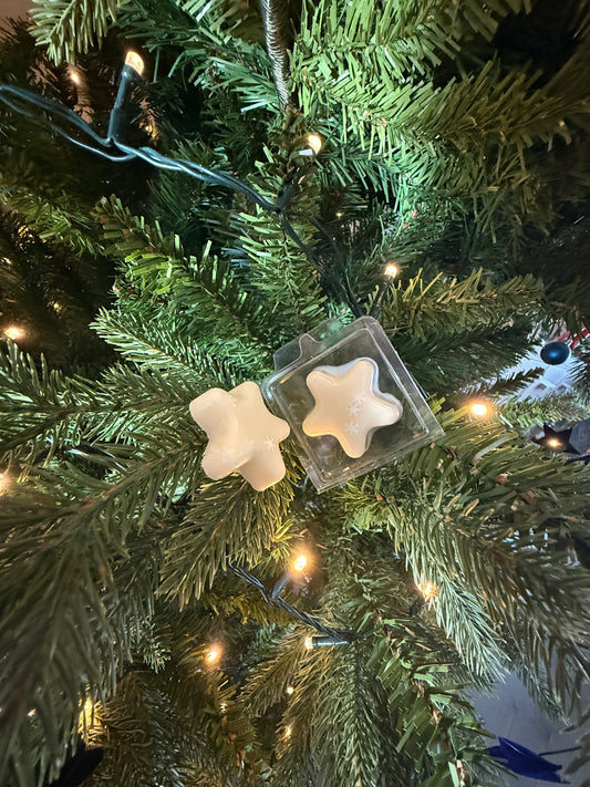 Shimmering Star Wax Melt